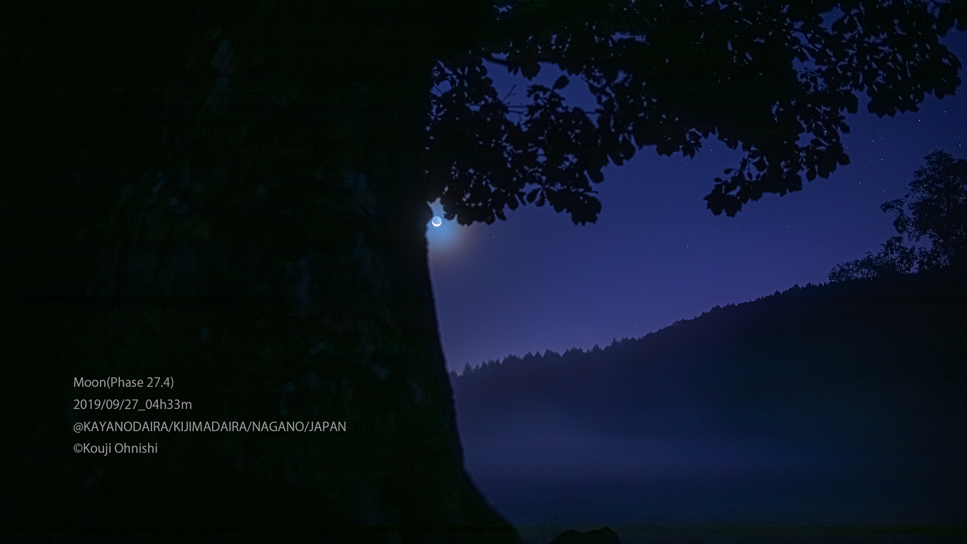 睡蓮の原野　星景ポスター　4枚　日 星景写真】【2023年版】秩父 羊山公園の芝桜と天の川を撮ってき