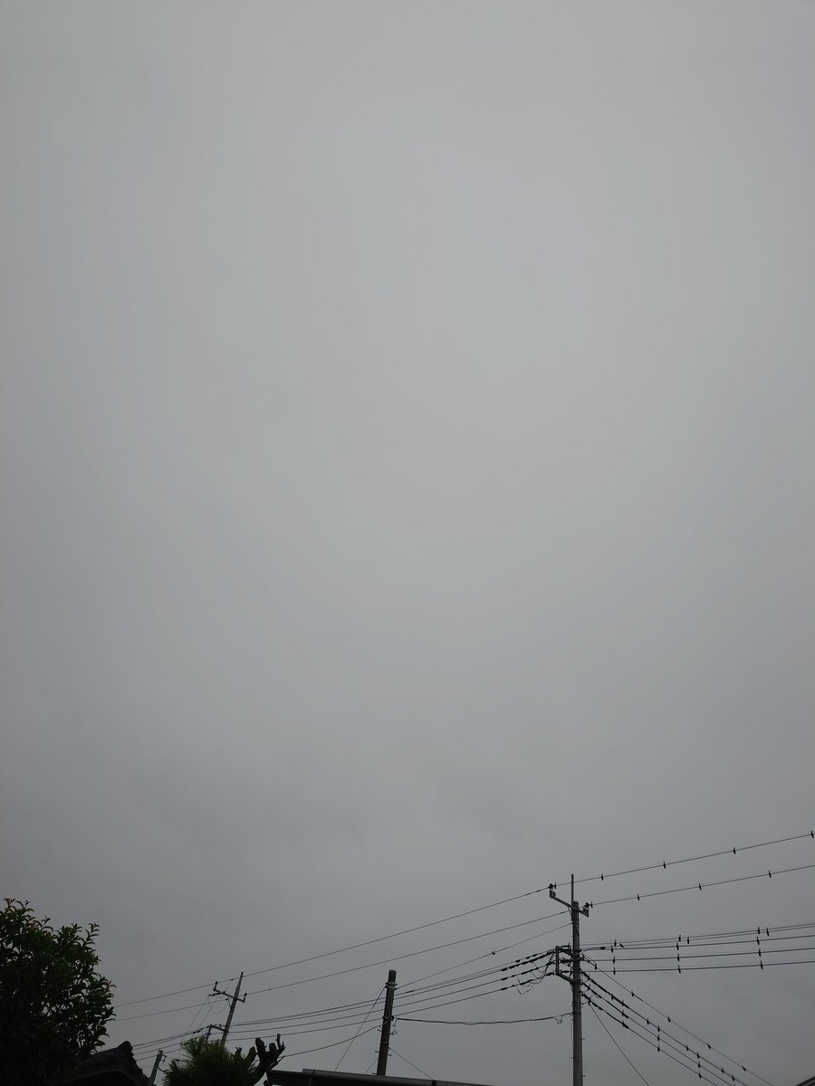 関東は、雨☂️

雨の中の練習🏍️もありだよね（笑）午後からはあがるみたいだよ。

でも、今日は妻がおらず、子を置いてまでは乗れない🙂

現場からは以上です🌧️