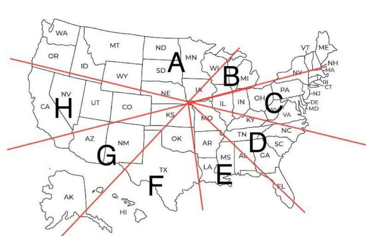 Ripping Whale tweet media