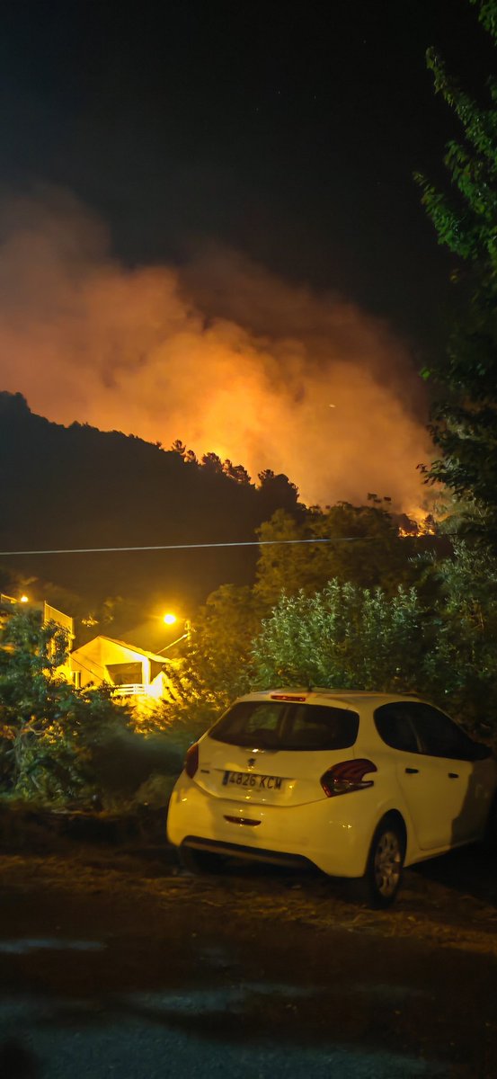 Jose Antonio Lopez tweet media