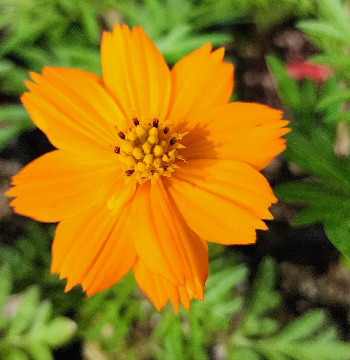 きょうは🌧️雨模様の天気予報

もう☔パラついてきている

仕事の人も休みの人も
素敵な一日を過ごすように
ニコッと笑顔で頑張ろう😀