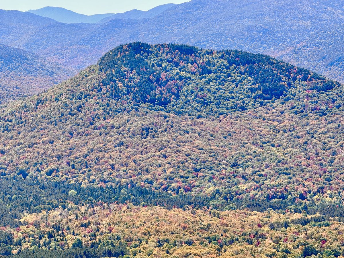 Foliage Friday from North Elba, NY above 2000’ elevation with lots of beautiful color coming in! 🍁🍂🎃