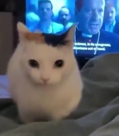 ★ 𝔈𝔩𝔩𝔢𝔫 𝔍𝔬𝔢 tweet media