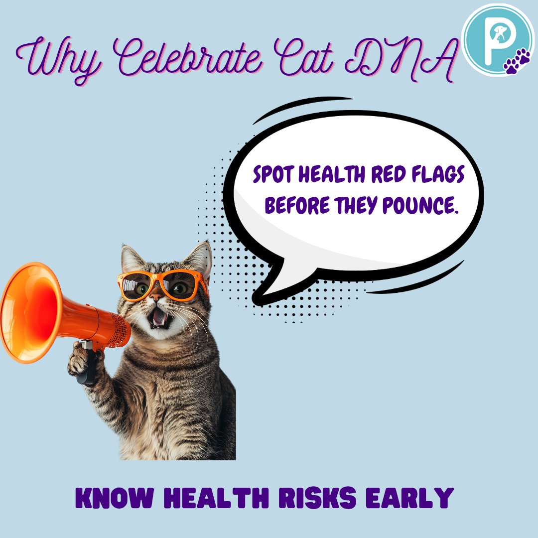 pawlidays365's tweet image. Ever wondered what secrets your cat’s DNA holds?
From ancestry surprises to early health insights, today we celebrate #NationalCatDNADay!  
Know your kitty better. Love them longer.

#Pawlidays #CatDNA #FelineScience #HolidayWorld #myholidayworld #holidaylicious