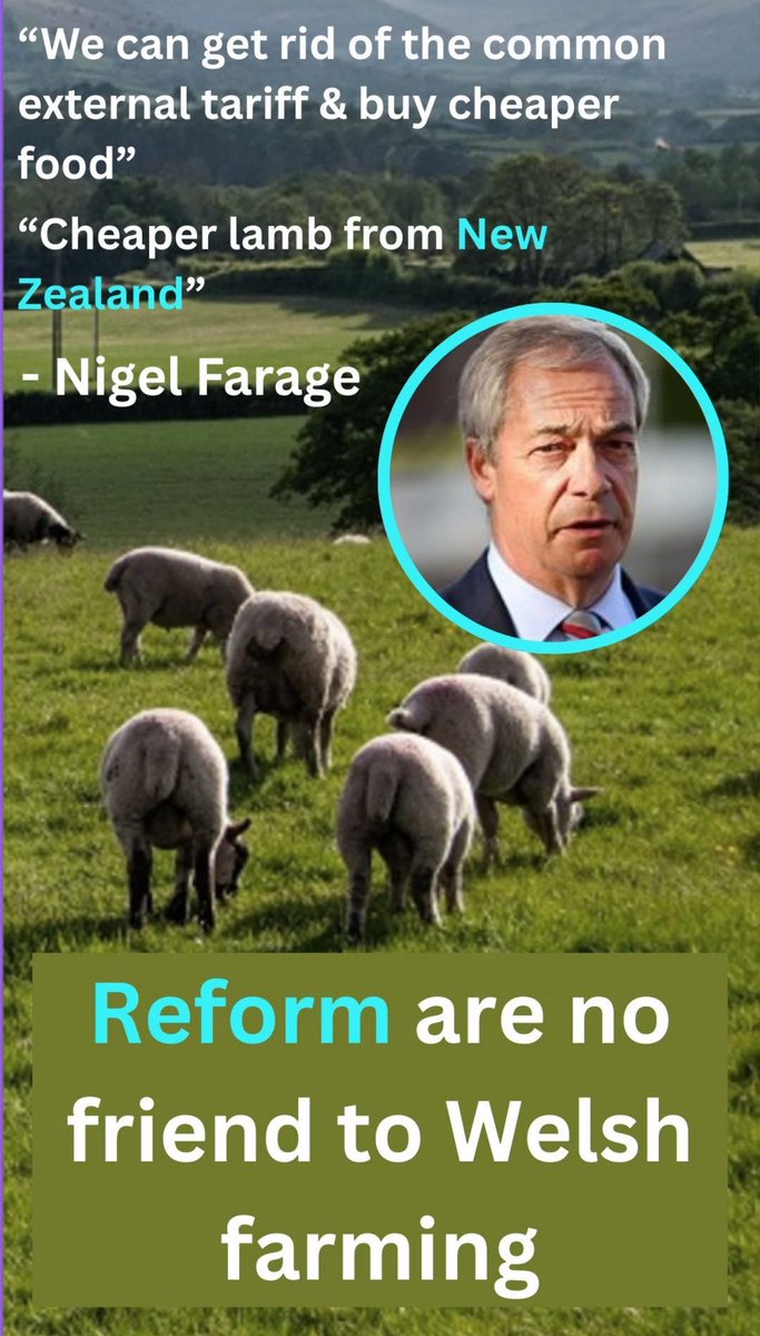 CantreBreiniol's tweet photo. A special message to the voters of the village of Nelson, with its long mountain farming tradition #NelsonSheep #CaerffiliByElection #LindsayWhittle ๐ด๓ ง๓ ข๓ ท๓ ฌ๓ ณ๓ ฟ https://t.co/jCNuZQEGdF