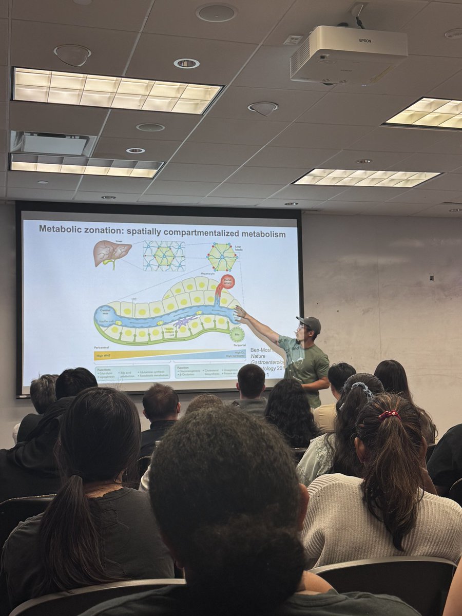 UTSWCancerBio's tweet image. 🧬 This week’s #UTSWCancerBio #WIP: Roger Liang (Zhu & DeBerardinis Labs)
Zonal Metabolic Perturbations & Liver Tumorigenesis
How spatial gene expression & glycogen metabolism drive liver disease + tumor formation.
⚡️Every Friday with WIP Seminar!
#CancerResearch #LiverDisease