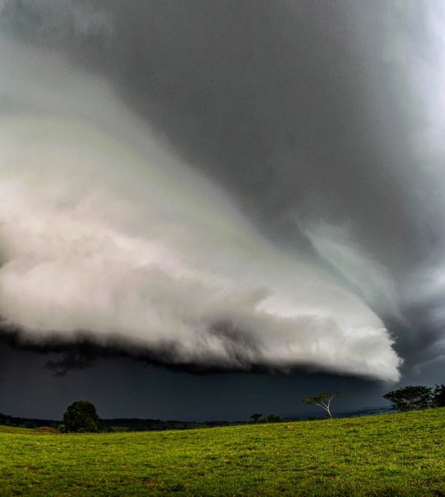 metsul's tweet image. 🔴 REITERAMOS | Onda de tempestades com risco até de tornados atingirá vários estados com possibilidade de estragos. Sul, Sudeste e Centro-Oeste terão tempo severo.

‼️ Leia o alerta: ▶️ metsul.com/onda-de-tempes…