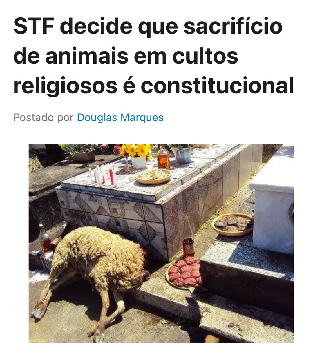 Poha, me bateu uma dúvida aqui do nada: por que os veganos e defensores dos animais nunca se pronunciaram a respeito da quimbanda fazer sacrifícios com animais em pleno 2025???????

Só a vida de animais fofinhos importam?