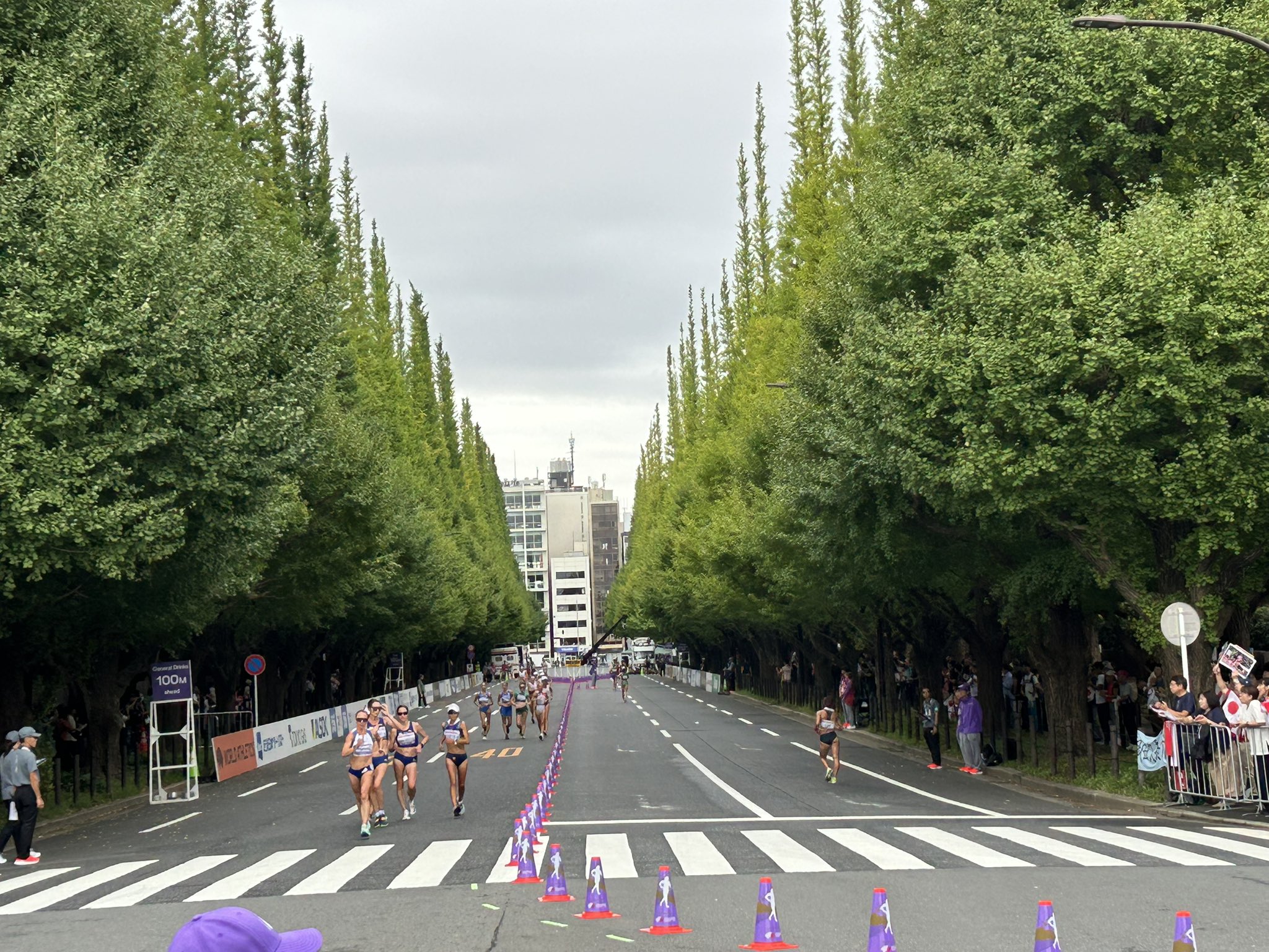 sumisumi(すみすみ) (@sumisumi90) / X