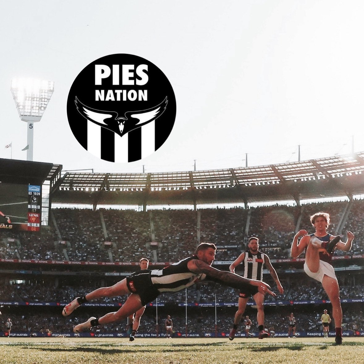 PiesNation tweet media