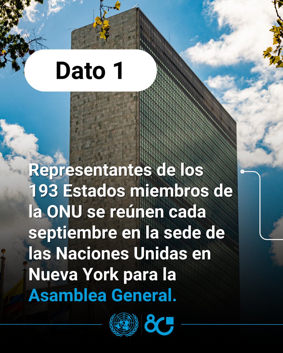 Naciones Unidas tweet media