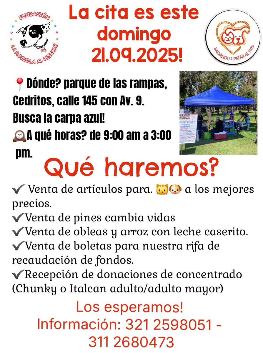 Marce Tabares 🐶 tweet media