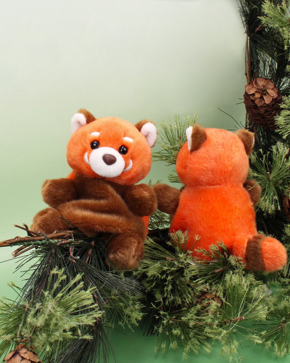PalmpalsO's tweet photo. The front? STUNNING. 🧡 The back? GORGEOUS. 🧡 It’s Red Panda Day, and Rei is ready to steal the spotlight! 🐾✨
#palmpalsparty #palmpals #plushies #plushcollector #plushieslife #stuffedanimal #kawaiiplush #cuteplush #redpanda #redpandaday https://t.co/QTj1swoRBt