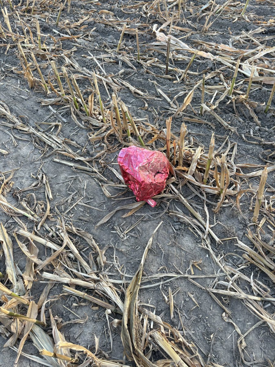 Kevin Buchner tweet media