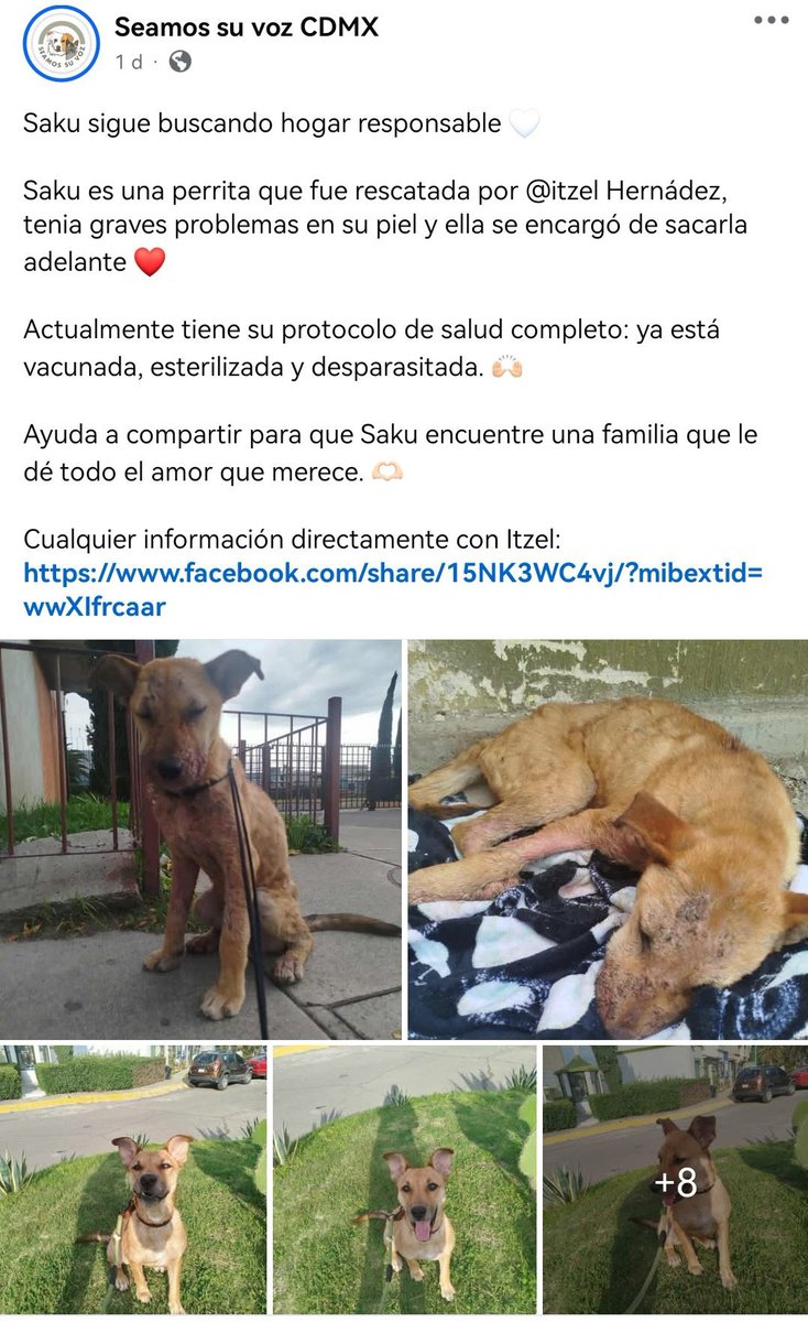 Esta bebé está buscando un hogar, nos ayudan a compartir?

facebook.com/share/1VzFhMPu…