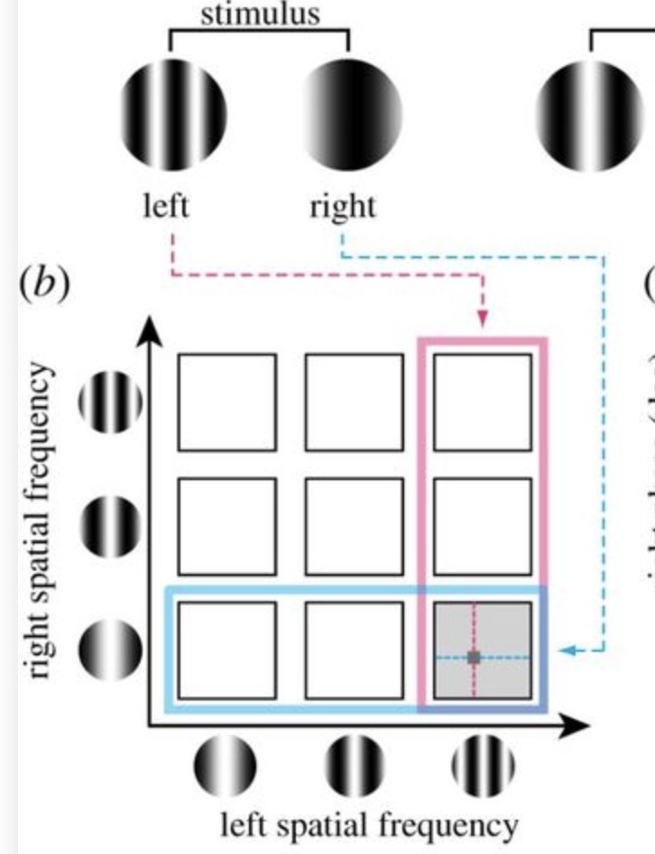 イグノーベル賞「シマウマ模様だとハエがたからない」
視覚ニューロンは特定の方向の周波数に応答する細胞で構成されているので、脳はフーリエ像を見ていることと関係あるかも。
両眼視のメカニズム↓（大澤五住・大阪大学）
royalsocietypublishing.org/doi/10.1098/rs…