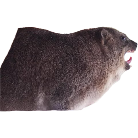 10 year old mustache obsessed me knew game…she always knew she liked a mustache