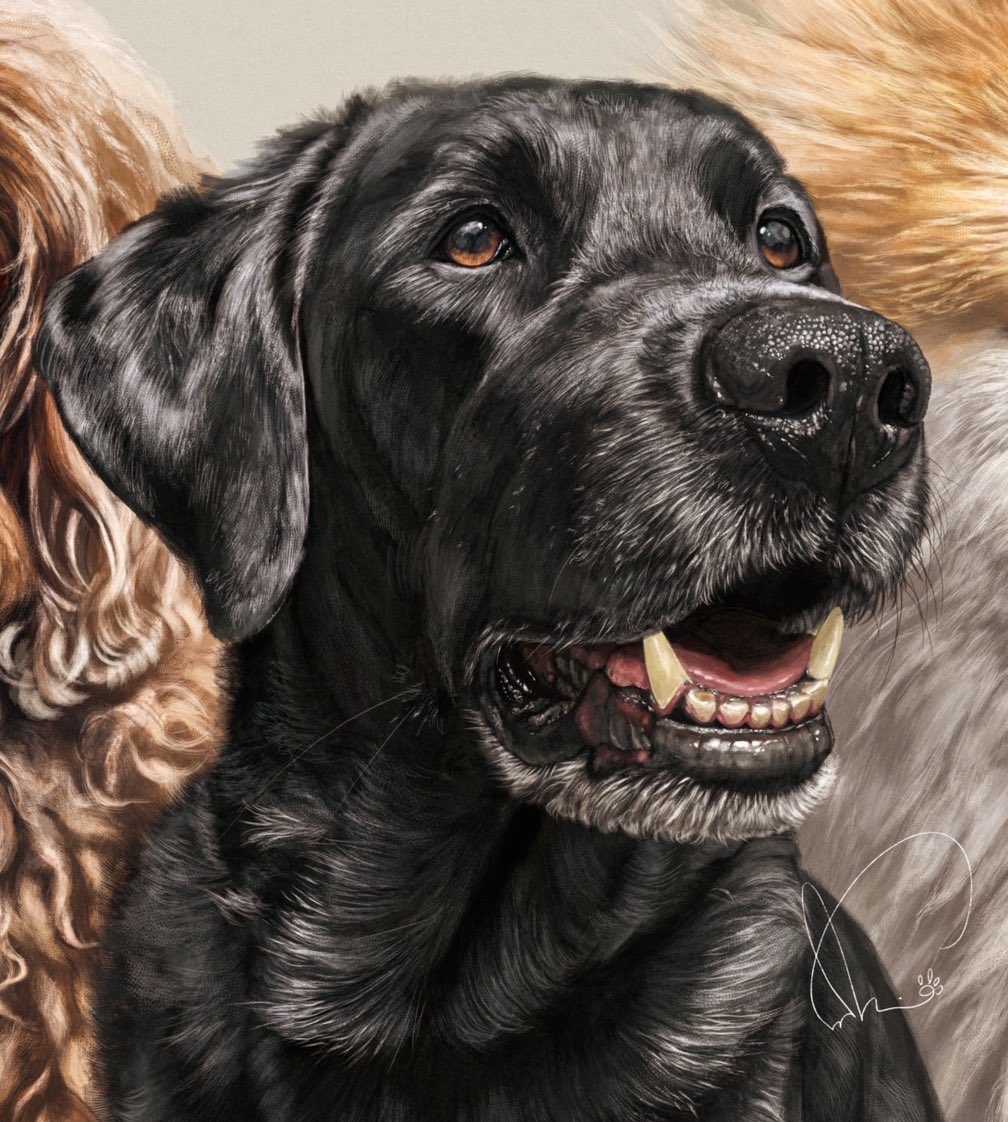 誕生日なので、良かったら絵を観て頂けませんか…