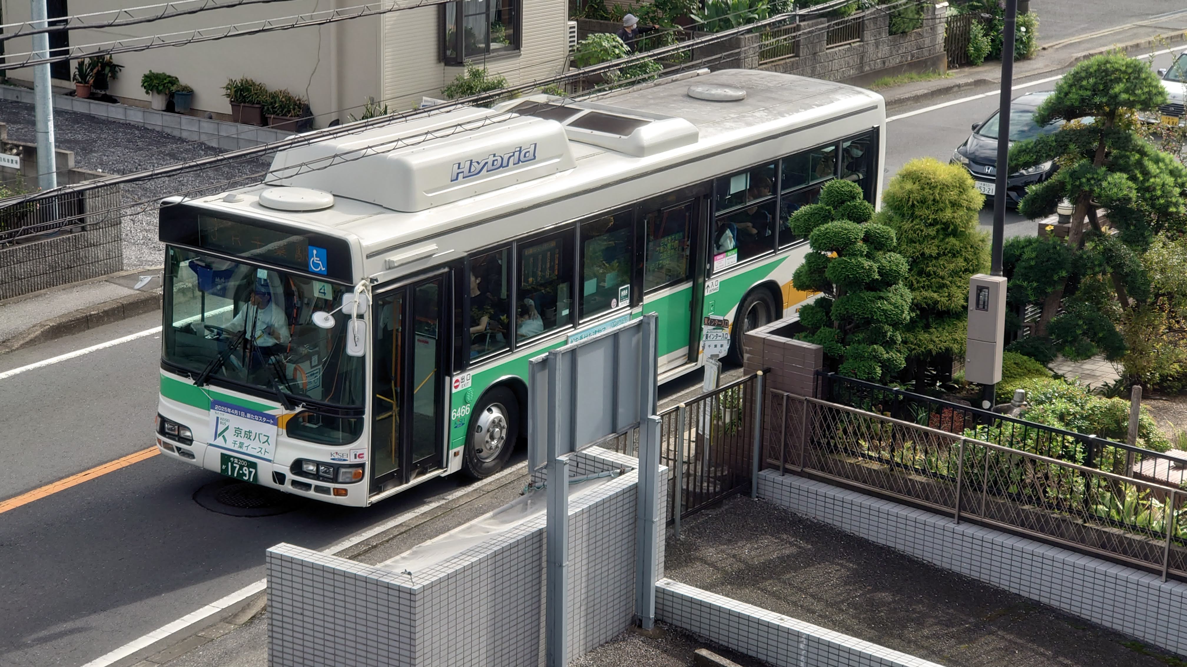 れんこんパパ 電子レンジ対応 曲げわっぱ 弁当箱 レンジでチンするまげわっぱ