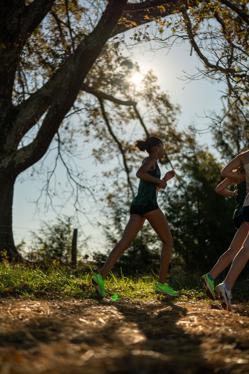 Kennedy Fulton tweet media