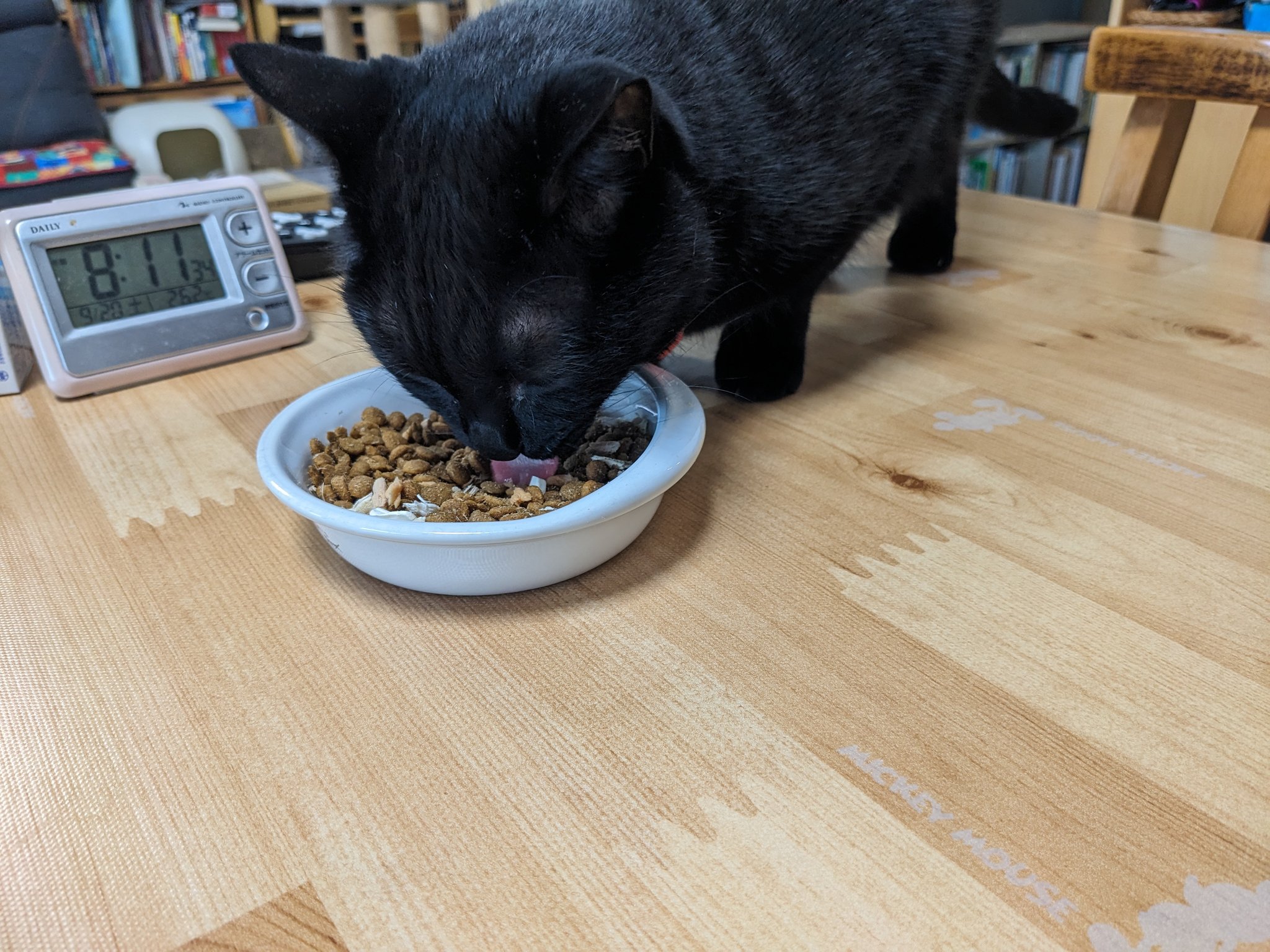 猫まんま。 楽天市場】熨斗対応 ギフト NEKOMANMA まぐろ ねこまんま だし