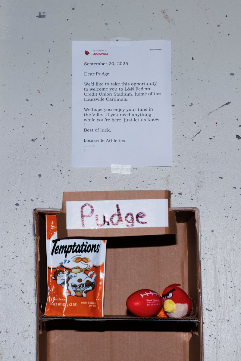 Louisville Athletics tweet media