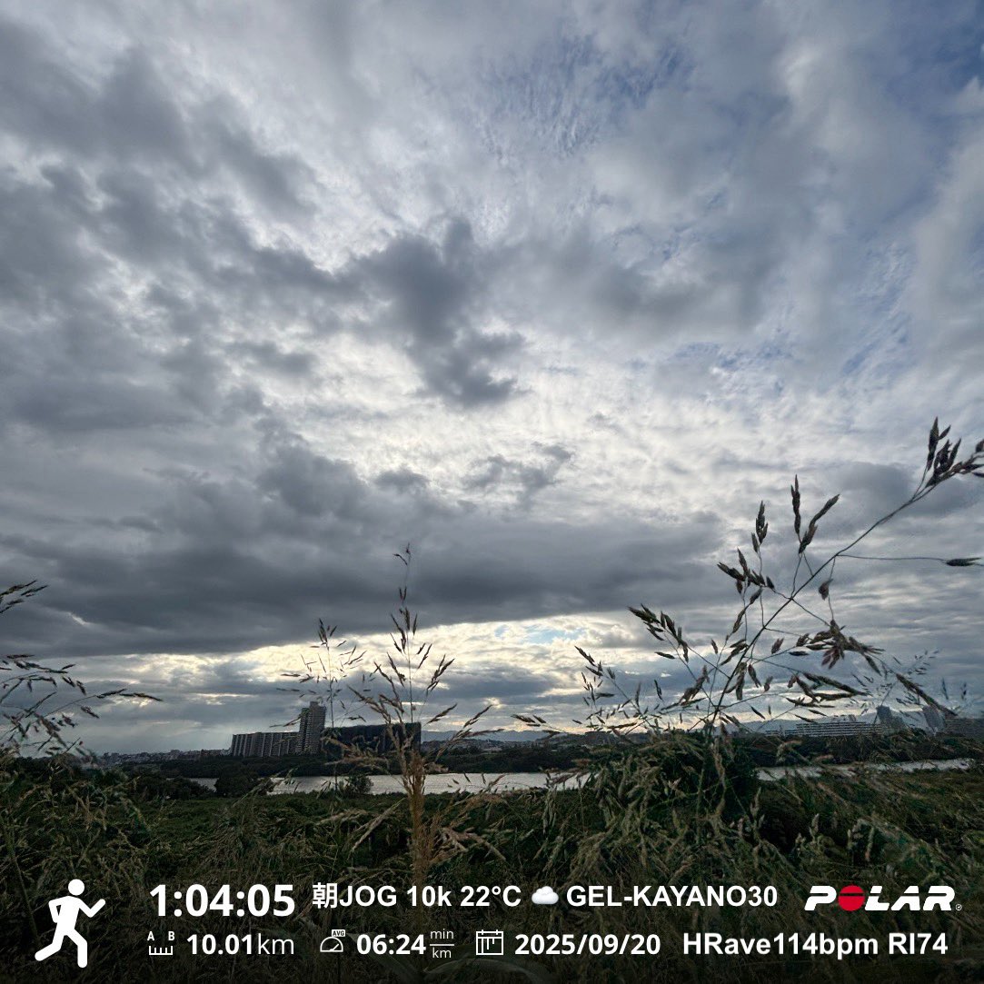 JOGです。今日は24℃、快適でした❗️

9月176km

#朝ラン