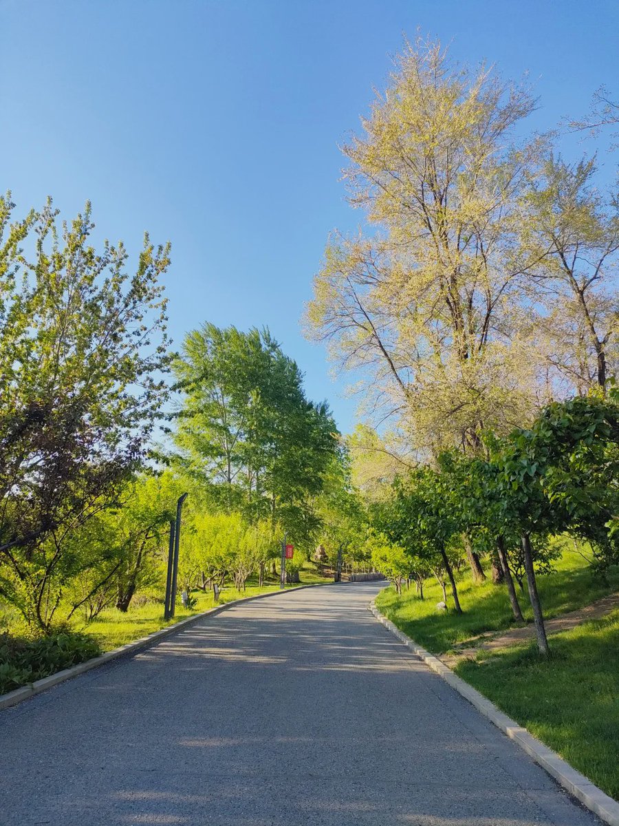 qwae_lcw's tweet image. 朝のランニングは、自分へのコミットメントであり、よりよい自分を求めて走ります。🏃‍♀️🏃‍♀️🏃‍♀️