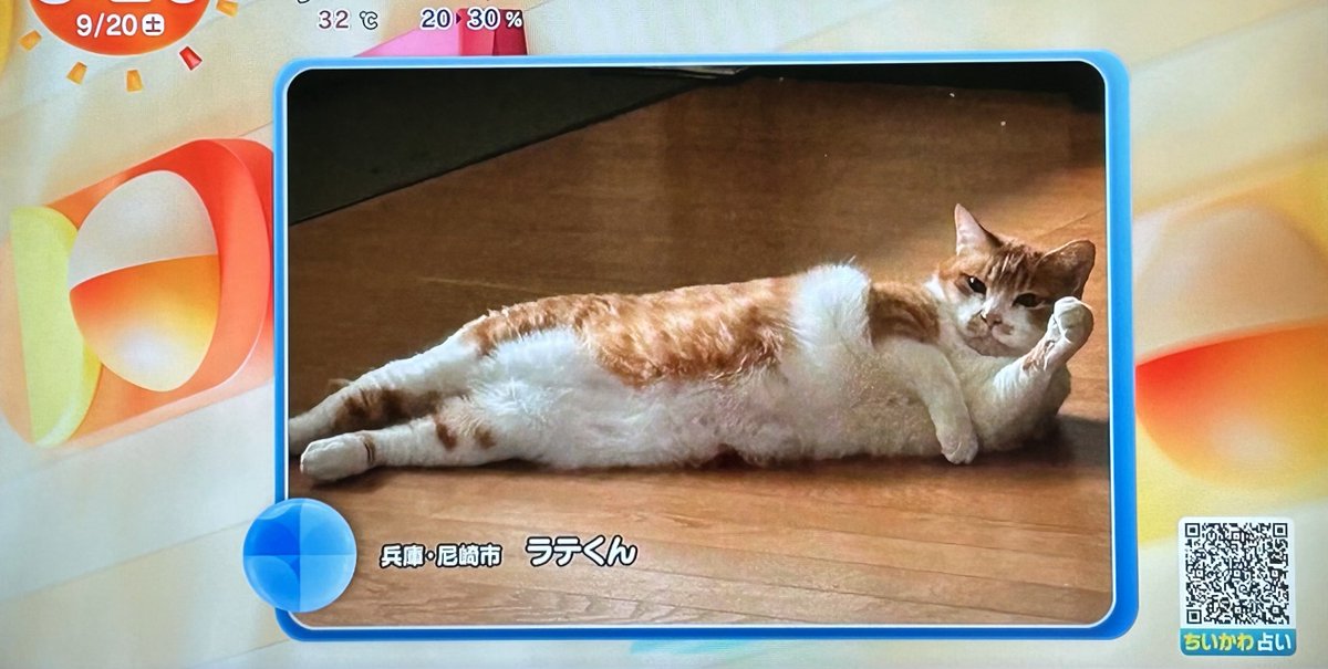 三百 おて。 on X