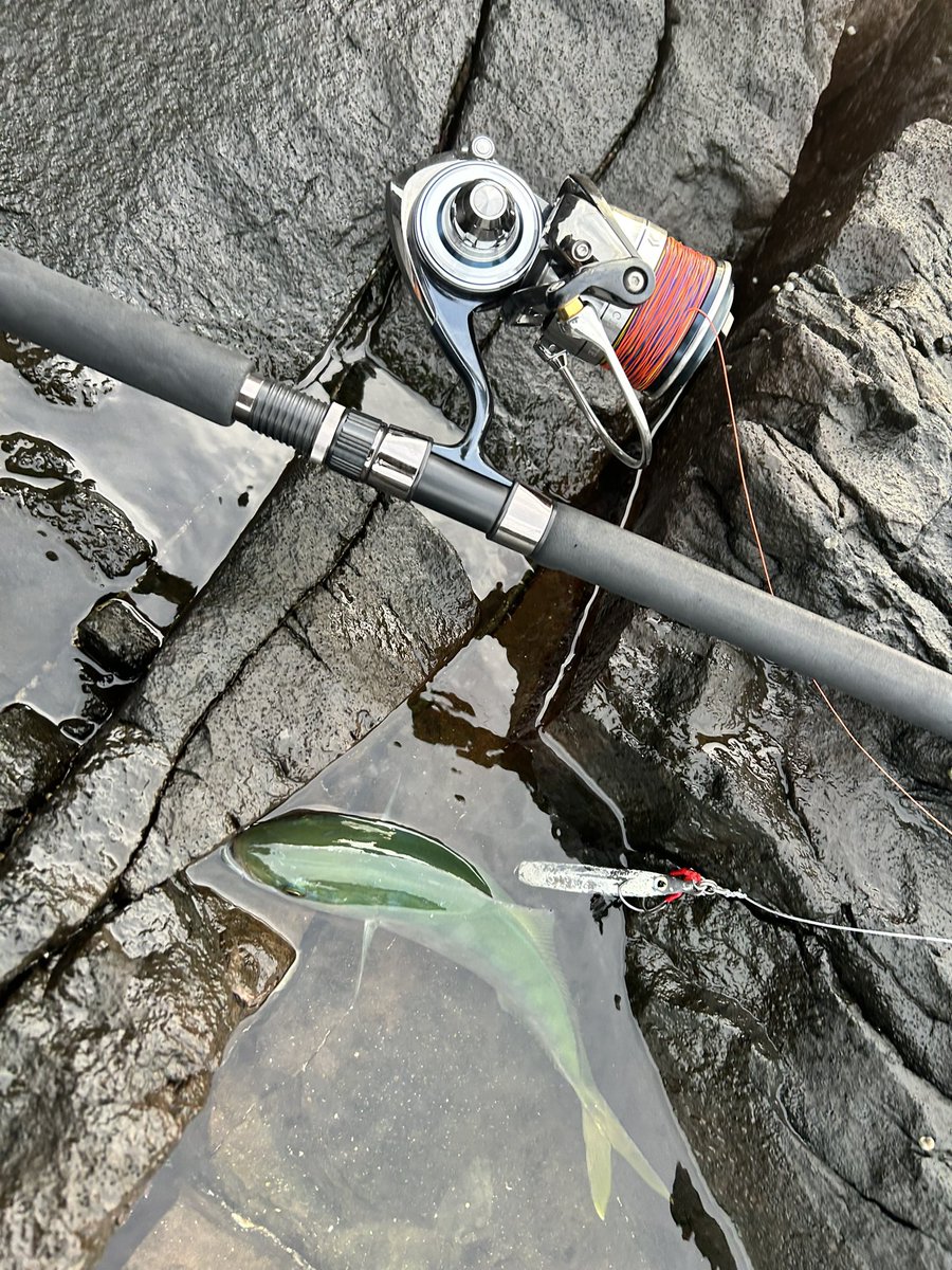 Fish throttle (クソ雑魚アングラー) tweet media