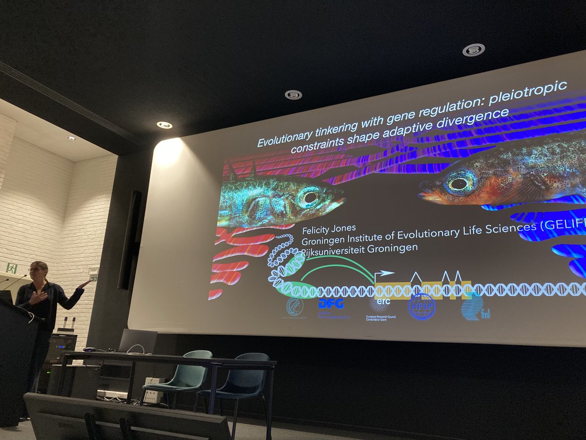 WenJuanMa84's tweet photo. 🌟Fantastic day at the 'first' #EvolutionaryGenomics day🧬! So much inspiration from great talks &amp; posters on #adaptation, #genomics, and more. Great to reconnect with colleagues old &amp; new!

#brussels #Genomics #evolution @AcademicChatter https://t.co/xnaqgCFq3T
