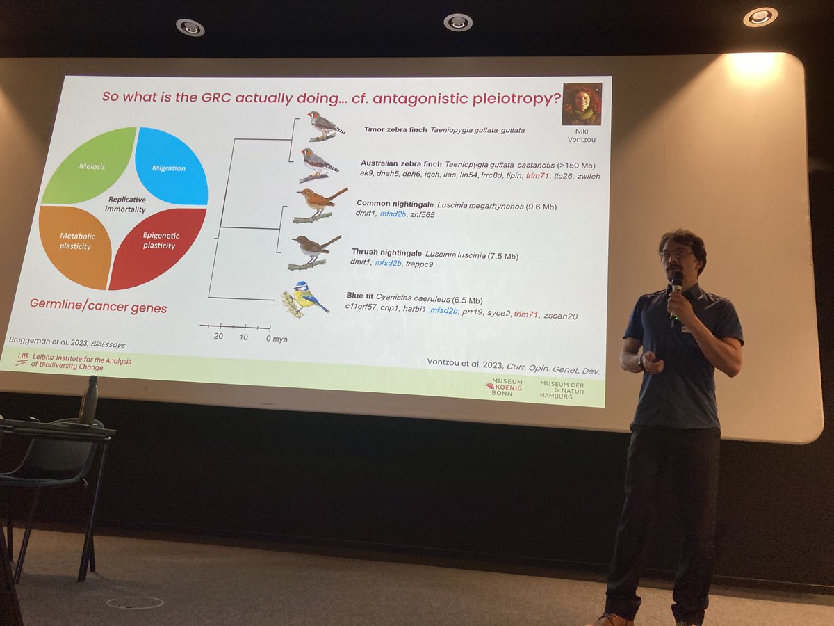 WenJuanMa84's tweet photo. 🌟Fantastic day at the 'first' #EvolutionaryGenomics day🧬! So much inspiration from great talks &amp; posters on #adaptation, #genomics, and more. Great to reconnect with colleagues old &amp; new!

#brussels #Genomics #evolution @AcademicChatter https://t.co/xnaqgCFq3T