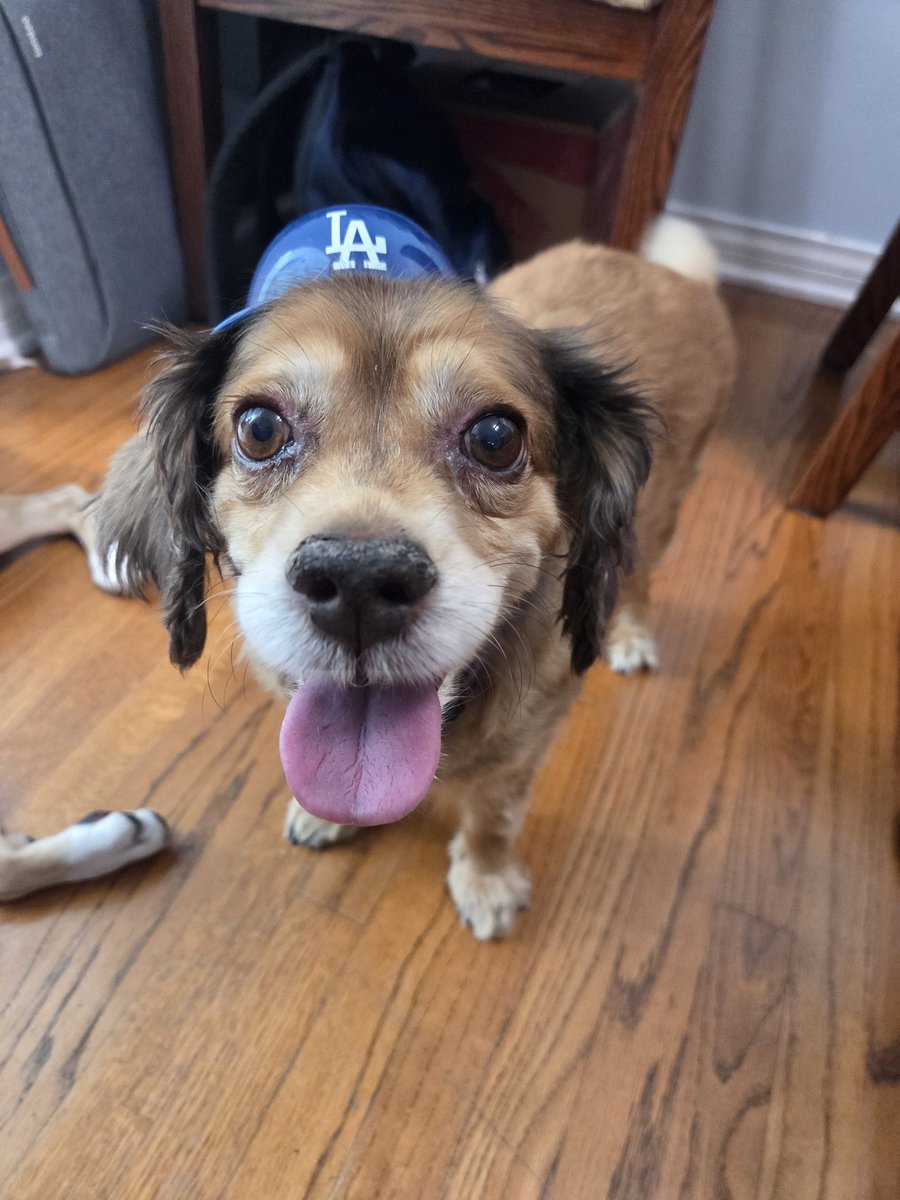 proxybox's tweet photo. @Dodgers Let's go! Rally till post season https://t.co/aCZSbLXG3Q