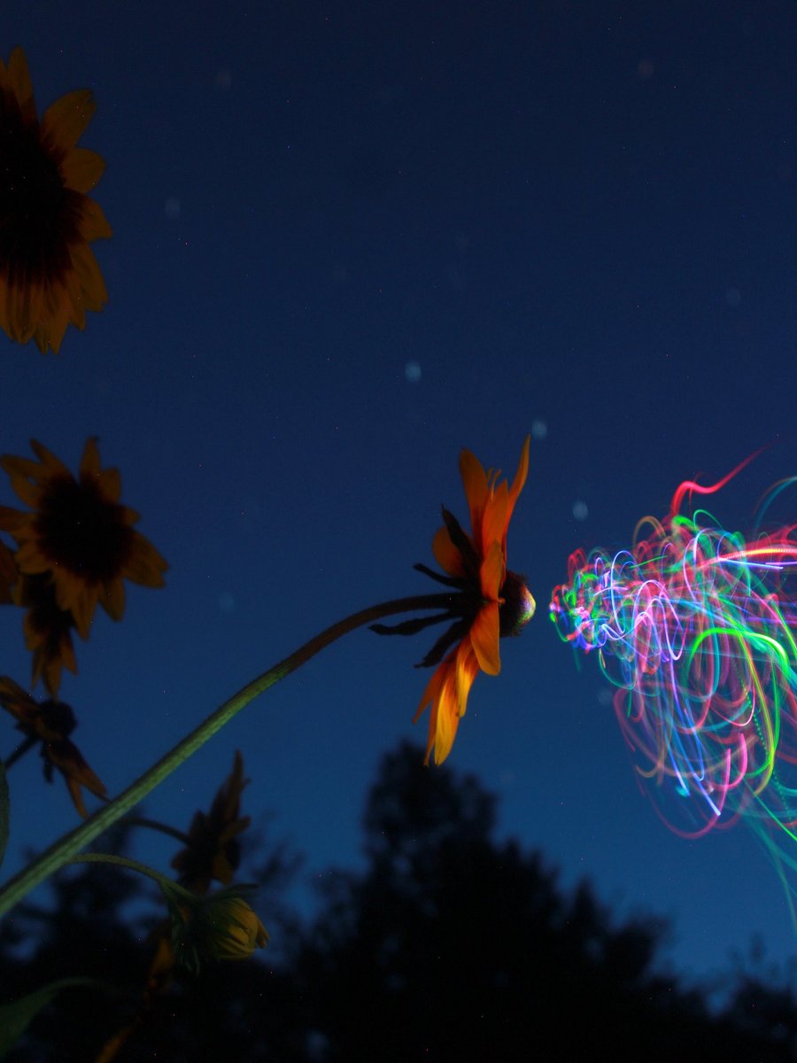 jonbyrer tweet media