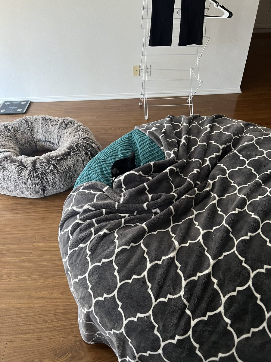 Mia has started tucking herself in on her beanbag and it’s the cutest thing ever