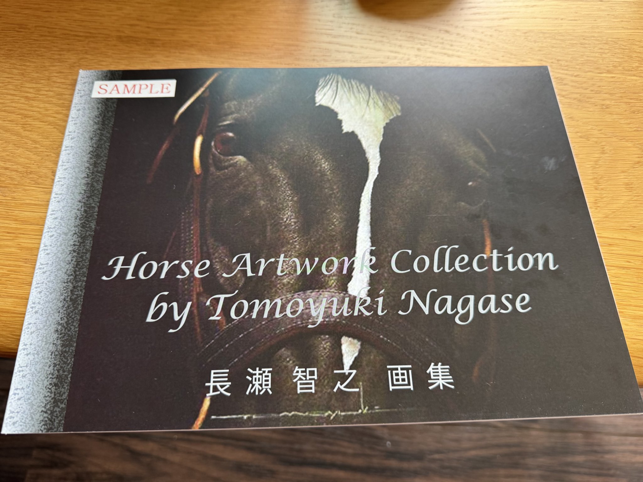 知られざる未来馬券指数の驚異 : 競馬投資利殖術 71b3q0Z-X7L._UF350,350_QL50_.jpg