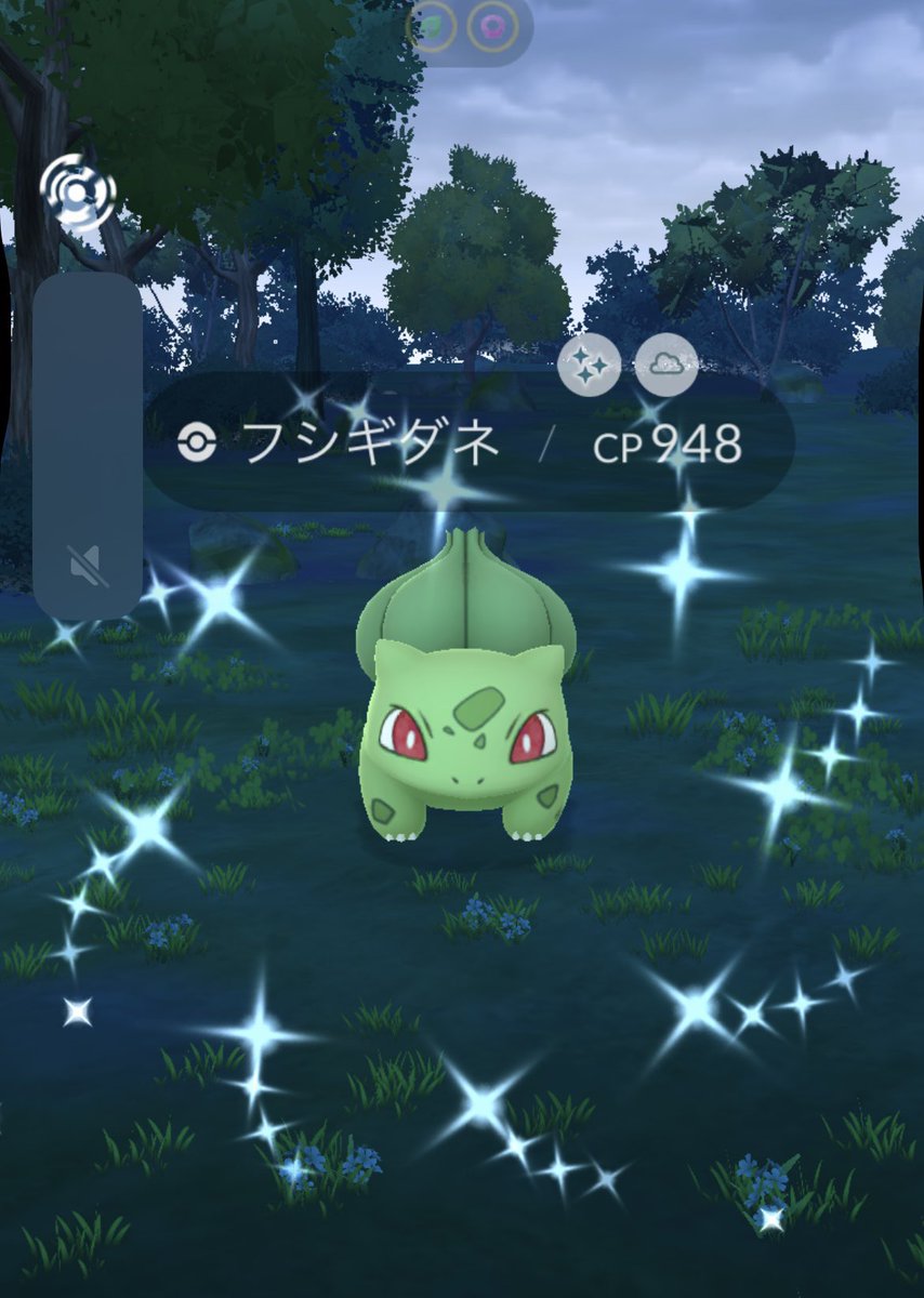 ポケモン　キャンバスプリント　満開の桜の木　フシギダネ 337/S/PROMO フシギダネ イラストレーション コンテスト 2022