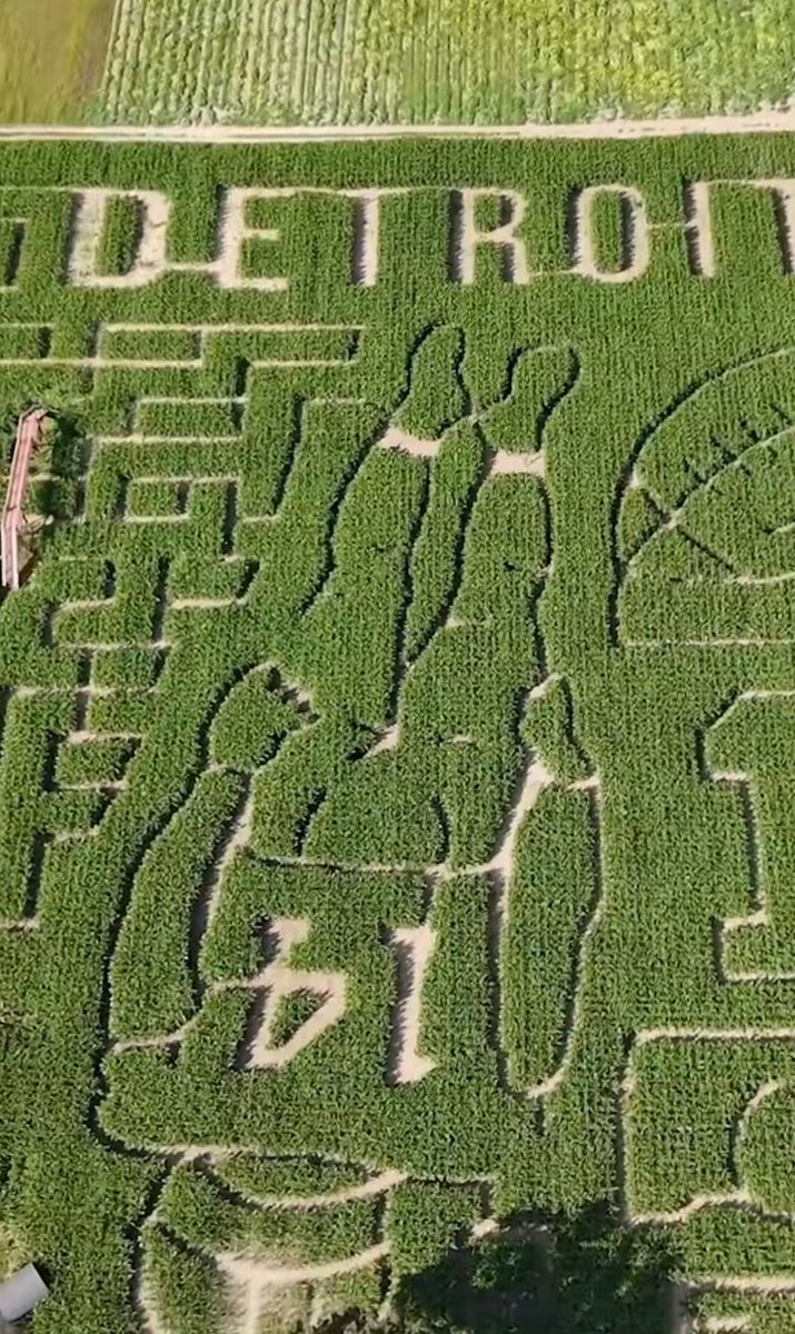 A local Michigan farm made Amon-Ra St. Brown’s headstand celebration in their corn maze 🔥

(via: <a href="/MLive/">MLive</a>)