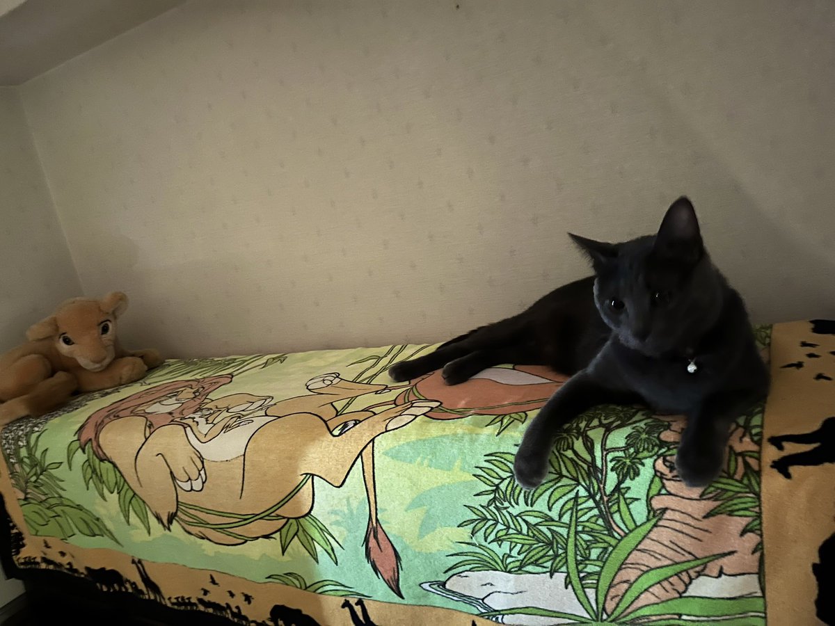 僕は黒豹になる!!

youtu.be/5EWxRZFkV_U

                                                        諭吉