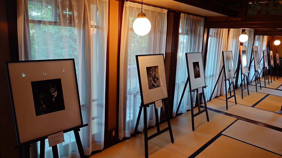 hanayakanbee's tweet photo. 本日からヨドコウ迎賓館にて展示が始まっております！
近代建築四大巨匠の一人、フランク・ロイド・ライト氏設計の建物に、新興写真の旗手であった中山岩太氏と弊社創業者・ハナヤ勘兵衛の御二方の作品が展示されております📷️

#ヨドコウ迎賓館 #中山岩太 #ハナヤ勘兵衛 https://t.co/SOwjzpcww0