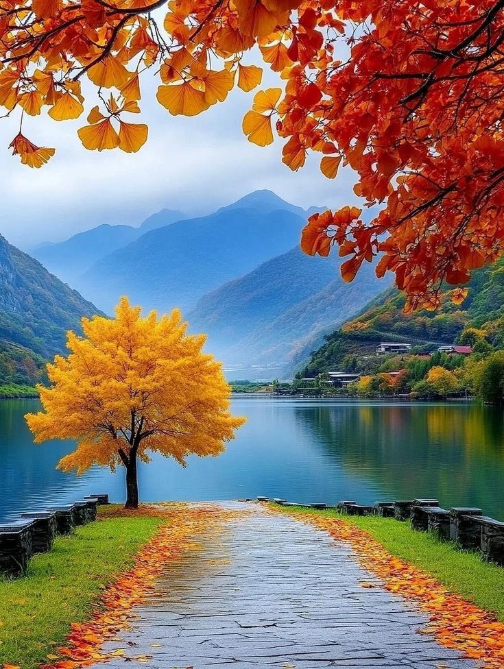 Nolan8981256421's tweet image. Wishing you a bright, beautiful, and blissful afternoon🌤️🍃🍂🍁🌾🦆🌿