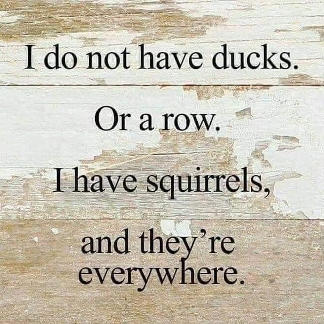 Bobbie Ann Walker (@bobbieannwalke1) on Twitter photo 