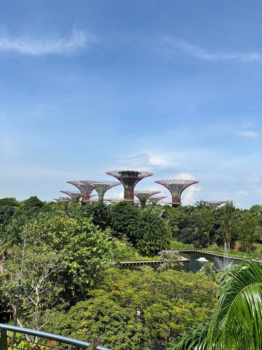 wans_pql's tweet image. 遠くにあるのは何の花ですか？あれはこの花なんですね。知っている方はいらっしゃいますか？