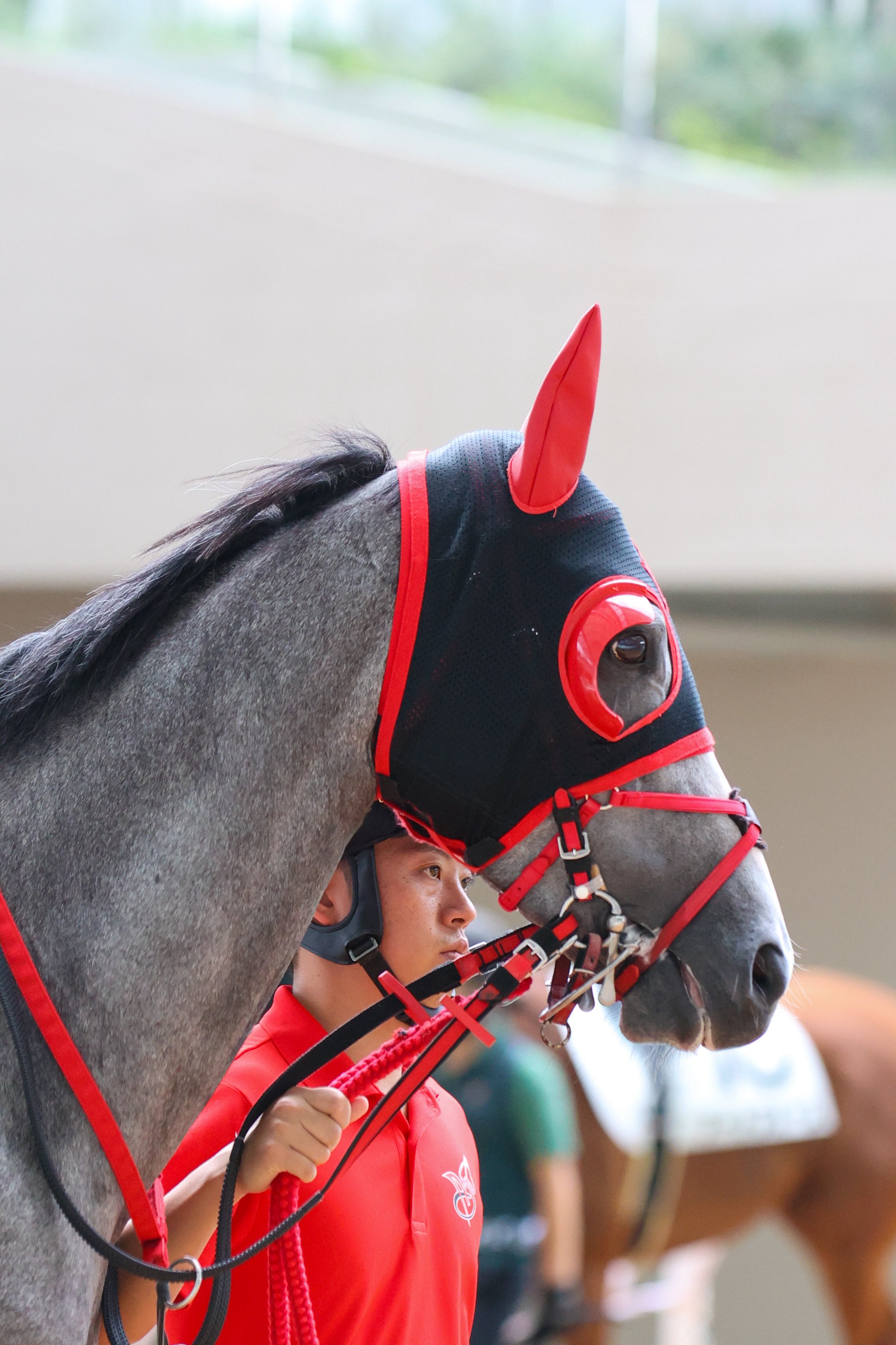 にぼしの出がらし on X: 