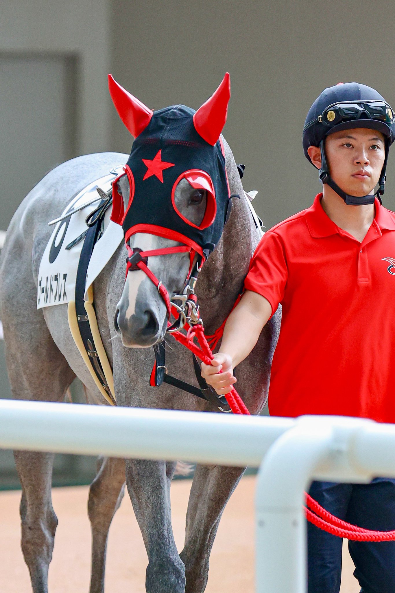 イ*将様 競馬カード　キラキラ　馬　乗馬　まとめ売り　アルバム G１ イ*将様 競馬カード キラキラ 馬 乗馬 まとめ売り アルバム G1