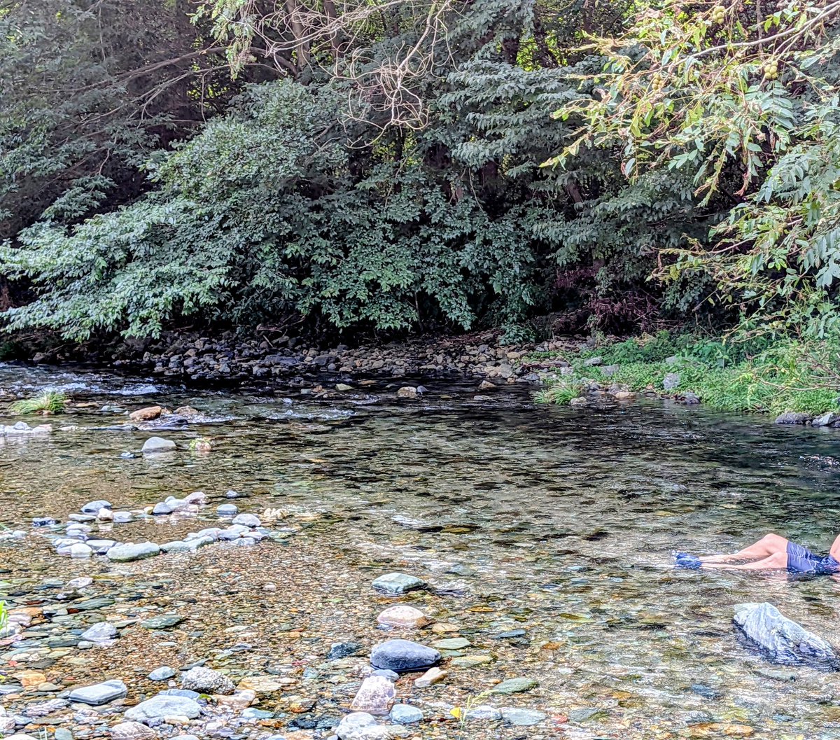 shibugaya1's tweet image. サウナ室3つで薪サウナはアチアチ🔥水風呂からの眺めは楽園🌴川の中の水は冷たくて気持ちいい💧午前中から極楽でした😊
＃コモリバ
＃COMORIVER
＃エストニア製イグルーサウナ