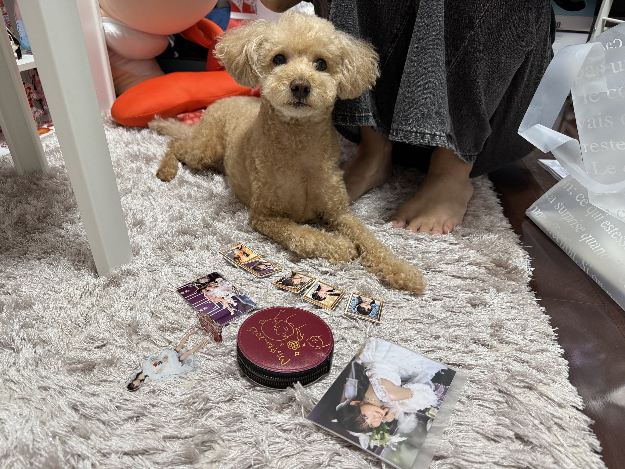 古川未鈴 みりたん2025スペシャルセット 古川未鈴 みりたん2025スペシャルセット 古川未鈴