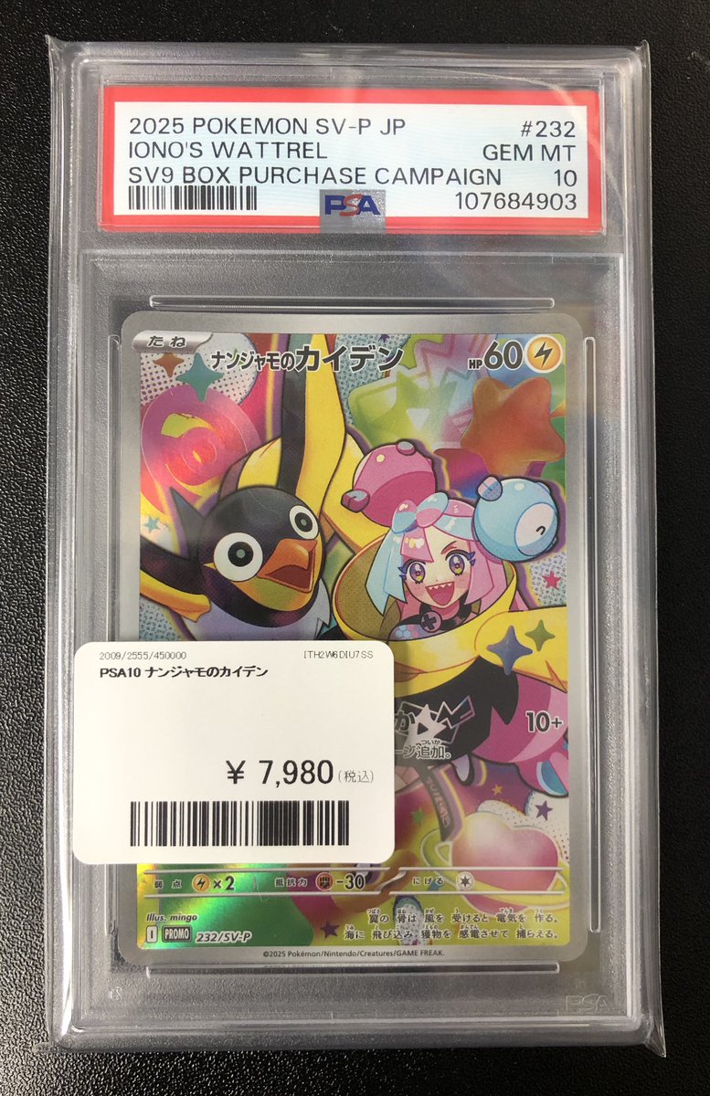 PDG Collector's Shop 秋葉原 on X: 