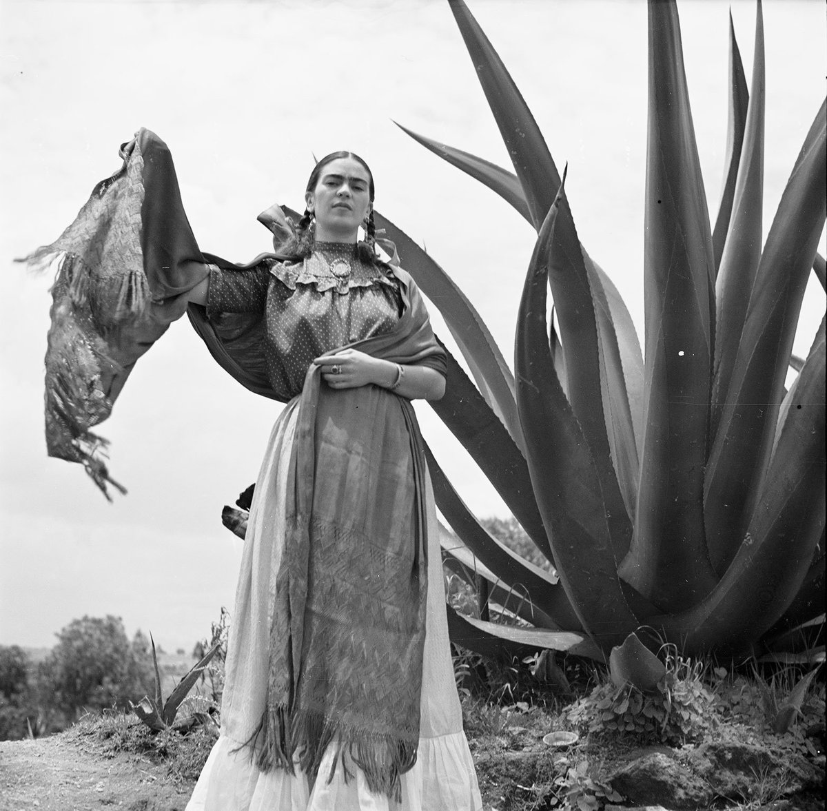 #WOMENSART (@womensart1) on Twitter photo Frida Kahlo, 1937 by fashion photographer Toni Frissell #womensart Frida Kahlo, 1937 by fashion photographer Toni Frissell #womensart