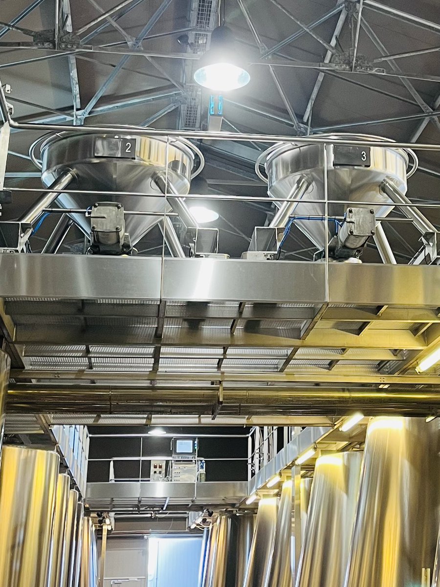 Pichon Comtesse 2025 - Day 12 - Waking through the vineyard checking and tasting berries again and again - We look for perfect silky tanins and we get them creamy and soft … is that clear ???!!! 2025 Bordeaux on top ! 
#PichonComtesse #TheBestIsYetToCome